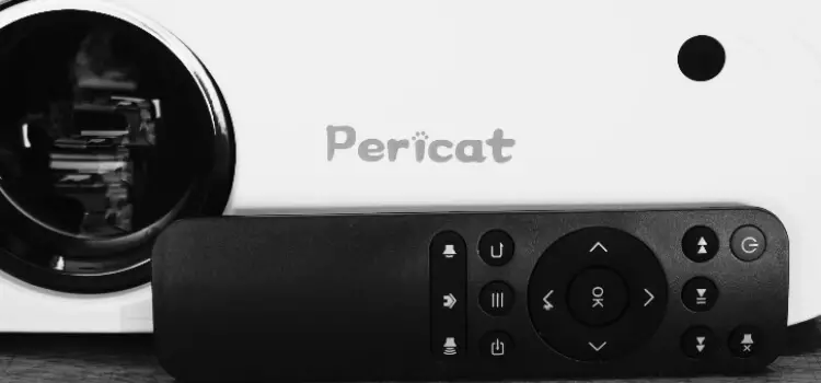 Pericat Projector Review