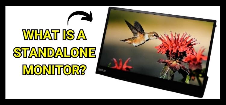 What is a standalone monitor