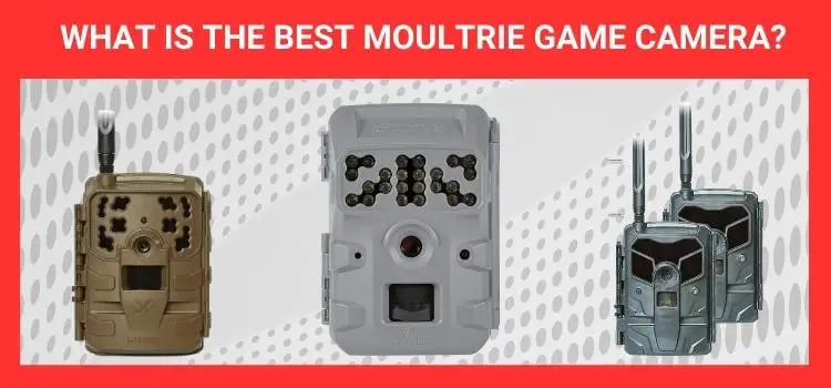 What is the Best Moultrie Game Camera